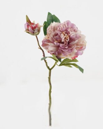 Artificial Flower 20*20*47cm Peony *2 single stem GS-48723029-Z1 2024Jan YeahFlower is one of Chinese leading OEM manufacturers and exporters , supplying the silk flowers, wholesale artificial trees Artificial Flower 20*20*47cm Peony *2 single stem GS-48723029-Z1 2024Jan YeahFlower is one of Chinese leading OEM manufacturers and exporters , supplying the silk flowers, wholesale artificial trees
