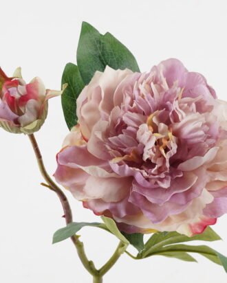Artificial Flower 20*20*47cm Peony *2 single stem GS-48723029-Z1 2024Jan YeahFlower is one of Chinese leading OEM manufacturers and exporters , supplying the silk flowers, wholesale artificial trees Artificial Flower 20*20*47cm Peony *2 single stem GS-48723029-Z1 2024Jan YeahFlower is one of Chinese leading OEM manufacturers and exporters , supplying the silk flowers, wholesale artificial trees