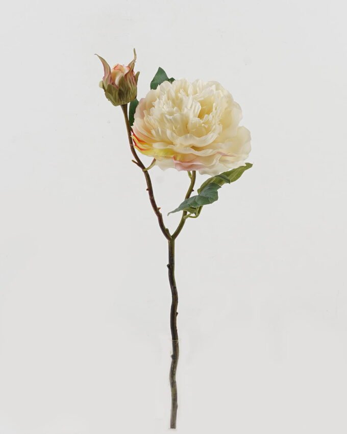 Artificial Flower Peony 2 single stem GS-48723029_4 Artificial Flower 20*20*47cm Peony *2 single stem GS-48723029 2024Jan YeahFlower is one of Chinese leading OEM manufacturers and exporters , supplying the silk flowers, wholesale artificial trees