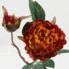 Artificial Flower Peony 2 single stem GS-48723035_5 Artificial Flower 17*17*47cm Peony *2 single stem GS-48723035 2024Jan YeahFlower is one of Chinese leading OEM manufacturers and exporters , supplying the silk flowers, wholesale artificial trees