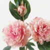 Artificial Flower Peony 3 single stem GS-48723028_2 Artificial Flower 30*30*64cm Peony *3 single stem GS-48723028 2024Jan YeahFlower is one of Chinese leading OEM manufacturers and exporters , supplying the silk flowers, wholesale artificial trees