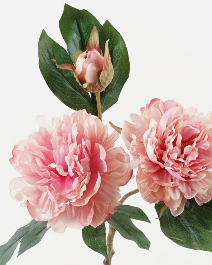 Artificial Flower Peony 3 single stem GS-48723028_2 Artificial Flower 30*30*64cm Peony *3 single stem GS-48723028 2024Jan YeahFlower is one of Chinese leading OEM manufacturers and exporters , supplying the silk flowers, wholesale artificial trees