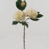 Artificial Flower Peony 3 single stem GS-48723028_5 Artificial Flower 30*30*64cm Peony *3 single stem GS-48723028 2024Jan YeahFlower is one of Chinese leading OEM manufacturers and exporters , supplying the silk flowers, wholesale artificial trees