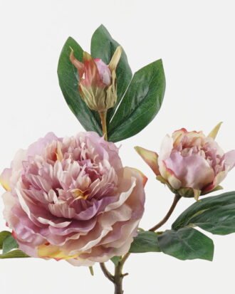 Artificial Flower 26*26*64cm Peony *3 single stem GS-48723031 2024Jan YeahFlower is one of Chinese leading OEM manufacturers and exporters , supplying the silk flowers, wholesale artificial trees Artificial Flower 26*26*64cm Peony *3 single stem GS-48723031 2024Jan YeahFlower is one of Chinese leading OEM manufacturers and exporters , supplying the silk flowers, wholesale artificial trees
