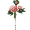 Artificial Flower Peony 3 single stem GS-48723031_4 Artificial Flower 26*26*64cm Peony *3 single stem GS-48723031 2024Jan YeahFlower is one of Chinese leading OEM manufacturers and exporters , supplying the silk flowers, wholesale artificial trees