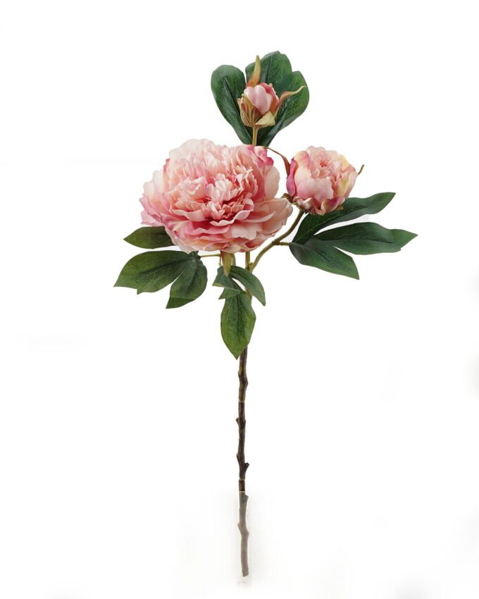 Artificial Flower Peony 3 single stem GS-48723031_4 Artificial Flower 26*26*64cm Peony *3 single stem GS-48723031 2024Jan YeahFlower is one of Chinese leading OEM manufacturers and exporters , supplying the silk flowers, wholesale artificial trees