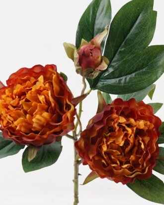 Artificial Flower 28*28*54cm Peony *3 single stem GS-48723034 2024Jan YeahFlower is one of Chinese leading OEM manufacturers and exporters , supplying the silk flowers, wholesale artificial trees Artificial Flower 28*28*54cm Peony *3 single stem GS-48723034 2024Jan YeahFlower is one of Chinese leading OEM manufacturers and exporters , supplying the silk flowers, wholesale artificial trees