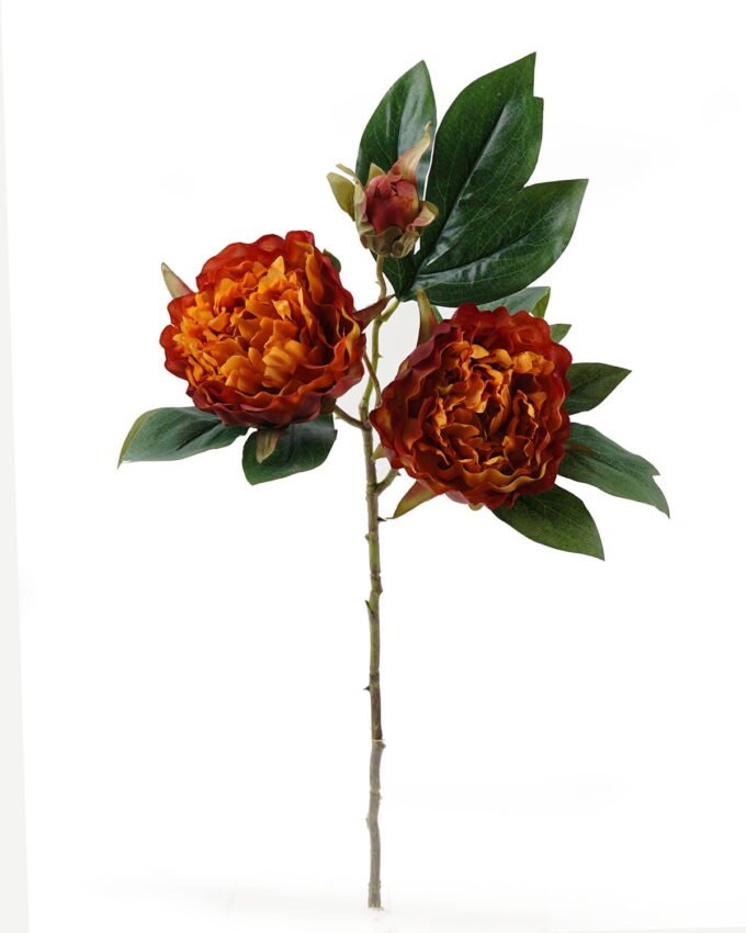 Artificial Flower Peony 3 single stem GS-48723034_6 Artificial Flower 28*28*54cm Peony *3 single stem GS-48723034 2024Jan YeahFlower is one of Chinese leading OEM manufacturers and exporters , supplying the silk flowers, wholesale artificial trees