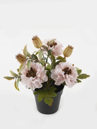 Artificial Flower 21*21*25cm Anemone in PP pot GS-03323144 Potted Flowers&Plants 3,000+ sqm showroom with thousands of artificial flowers, plants & trees ready for global sourcing.