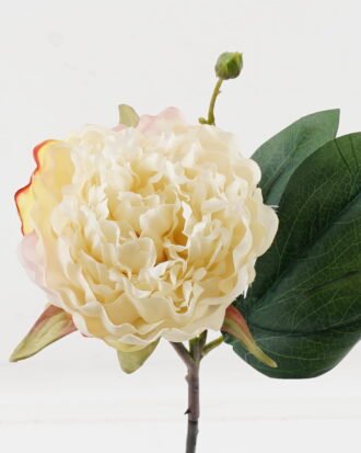 Artificial Flower 14*14*44cm Peony single stem GS-48723033 2024Jan YeahFlower is one of Chinese leading OEM manufacturers and exporters , supplying the silk flowers, wholesale artificial trees Artificial Flower 14*14*44cm Peony single stem GS-48723033 2024Jan YeahFlower is one of Chinese leading OEM manufacturers and exporters , supplying the silk flowers, wholesale artificial trees