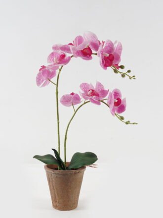Artificial Flower 26*26*36cm Hydrangea *6 in Glass ware GS-52723006 Potted Flowers&Plants 3,000+ sqm showroom with thousands of artificial flowers, plants & trees ready for global sourcing.