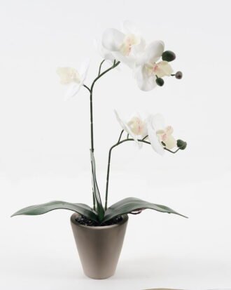 Artificial Flower 28*15*48cm Phalaenopsis *2 in cemnet pot/3 lvs GS-52723010-W1 2024Feb YeahFlower is one of Chinese leading OEM manufacturers and exporters , supplying the silk flowers, wholesale artificial trees