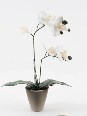 Artificial Flower 28*15*48cm Phalaenopsis *2 in cemnet pot/3 lvs GS-52723010 Potted Flowers&Plants 3,000+ sqm showroom with thousands of artificial flowers, plants & trees ready for global sourcing.