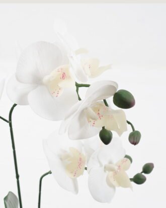 Artificial Flower 28*15*48cm Phalaenopsis *2 in cemnet pot/3 lvs GS-52723010-W1 2024Feb YeahFlower is one of Chinese leading OEM manufacturers and exporters , supplying the silk flowers, wholesale artificial trees