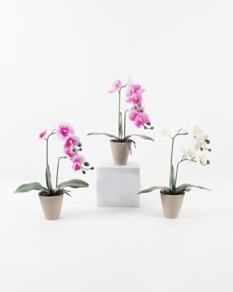 Artificial Flower 28*15*48cm Phalaenopsis *2 in cemnet pot/3 lvs GS-52723010 2024Feb YeahFlower is one of Chinese leading OEM manufacturers and exporters , supplying the silk flowers, wholesale artificial trees
