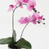 Artificial Flower 28*15*48cm Phalaenopsis *2 in cemnet pot/3 lvs GS-52723010 2024Feb YeahFlower is one of Chinese leading OEM manufacturers and exporters , supplying the silk flowers, wholesale artificial trees