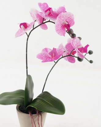Artificial Flower 28*15*48cm Phalaenopsis *2 in cemnet pot/3 lvs GS-52723010 2024Feb YeahFlower is one of Chinese leading OEM manufacturers and exporters , supplying the silk flowers, wholesale artificial trees