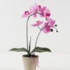 Artificial Flower 28*15*48cm Phalaenopsis *2 in cemnet pot/3 lvs GS-52723010 2024Feb YeahFlower is one of Chinese leading OEM manufacturers and exporters , supplying the silk flowers, wholesale artificial trees