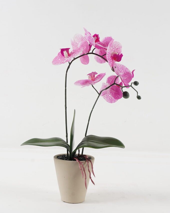 Artificial Flower 28*15*48cm Phalaenopsis *2 in cemnet pot/3 lvs GS-52723010 2024Feb YeahFlower is one of Chinese leading OEM manufacturers and exporters , supplying the silk flowers, wholesale artificial trees