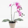 Artificial Flower 28*15*48cm Phalaenopsis *2 in cemnet pot/3 lvs GS-52723010 2024Feb YeahFlower is one of Chinese leading OEM manufacturers and exporters , supplying the silk flowers, wholesale artificial trees