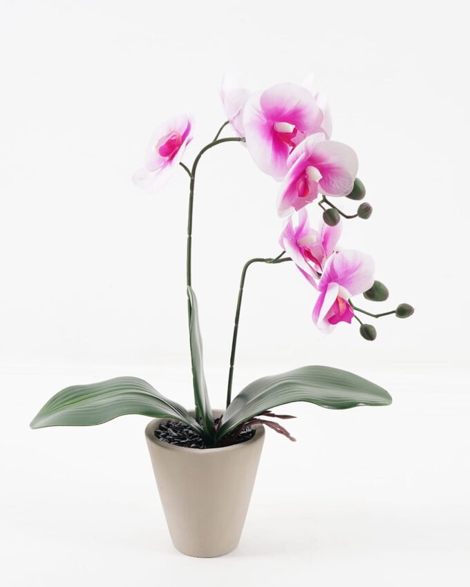 Artificial Flower 28*15*48cm Phalaenopsis *2 in cemnet pot/3 lvs GS-52723010 2024Feb YeahFlower is one of Chinese leading OEM manufacturers and exporters , supplying the silk flowers, wholesale artificial trees
