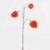 Artificial Flower 14*14*36cm Physalis peruviana *3 single stem GS-16823108 2024Jan YeahFlower is one of Chinese leading OEM manufacturers and exporters , supplying the silk flowers, wholesale artificial trees