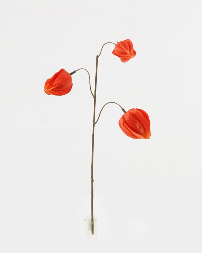 Artificial Flower 14*14*36cm Physalis peruviana *3 single stem GS-16823108 2024Jan YeahFlower is one of Chinese leading OEM manufacturers and exporters , supplying the silk flowers, wholesale artificial trees