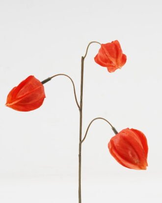 Artificial Flower 14*14*36cm Physalis peruviana *3 single stem GS-16823108 2024Jan YeahFlower is one of Chinese leading OEM manufacturers and exporters , supplying the silk flowers, wholesale artificial trees