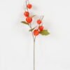 Artificial Flower 18*18*60cm Physalis peruviana *6 single stem GS-16823109 2024Jan YeahFlower is one of Chinese leading OEM manufacturers and exporters , supplying the silk flowers, wholesale artificial trees