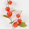 Artificial Flower 18*18*60cm Physalis peruviana *6 single stem GS-16823109 2024Jan YeahFlower is one of Chinese leading OEM manufacturers and exporters , supplying the silk flowers, wholesale artificial trees