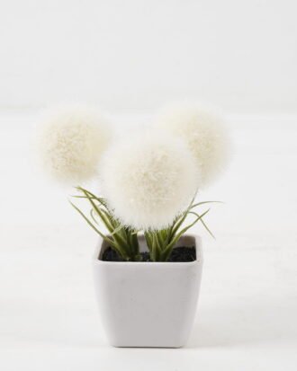 Artificial Flower 10*10*10cm Plastic grass *3 in PP pot GS-29423132KIK-W1 2024Jan YeahFlower is one of Chinese leading OEM manufacturers and exporters , supplying the silk flowers, wholesale artificial trees