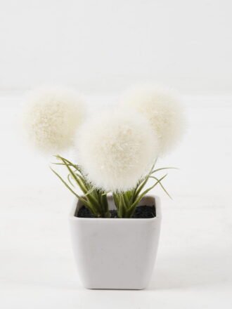 Artificial Flower 10*10*10cm Plastic grass *3 in PP pot GS-29423132KIK Potted Flowers&Plants 3,000+ sqm showroom with thousands of artificial flowers, plants & trees ready for global sourcing.