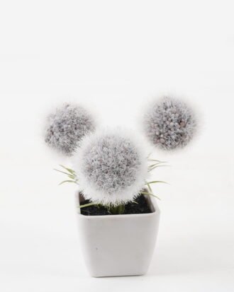 Artificial Flower 10*10*10cm Plastic grass *3 in PP pot GS-29423132KIK-Z1 2024Jan YeahFlower is one of Chinese leading OEM manufacturers and exporters , supplying the silk flowers, wholesale artificial trees