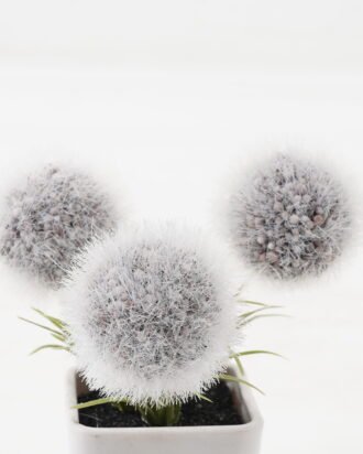 Artificial Flower 10*10*10cm Plastic grass *3 in PP pot GS-29423132KIK-Z1 2024Jan YeahFlower is one of Chinese leading OEM manufacturers and exporters , supplying the silk flowers, wholesale artificial trees