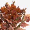 Artificial Flower 20*20*32cm  Protea cynaroides bush GS-27923068-K1 Flowers Bush 3,000+ sqm showroom with thousands of artificial flowers, plants & trees ready for global sourcing.