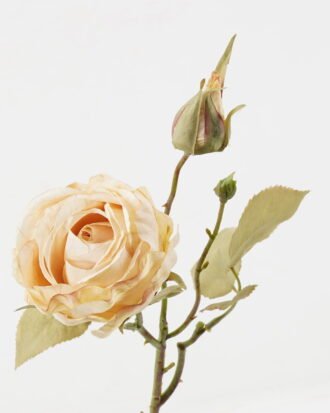 Artificial Flower 17*17*54cm Rose *2 single stem GS-48723023-W2 2024Jan YeahFlower is one of Chinese leading OEM manufacturers and exporters , supplying the silk flowers, wholesale artificial trees