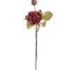 Artificial Flower Rose 2 single stem GS-48723040-R1_5 Artificial Flower 12*12*54cm Rose *2 single stem GS-48723040-R1 2024Jan YeahFlower is one of Chinese leading OEM manufacturers and exporters , supplying the silk flowers, wholesale artificial trees