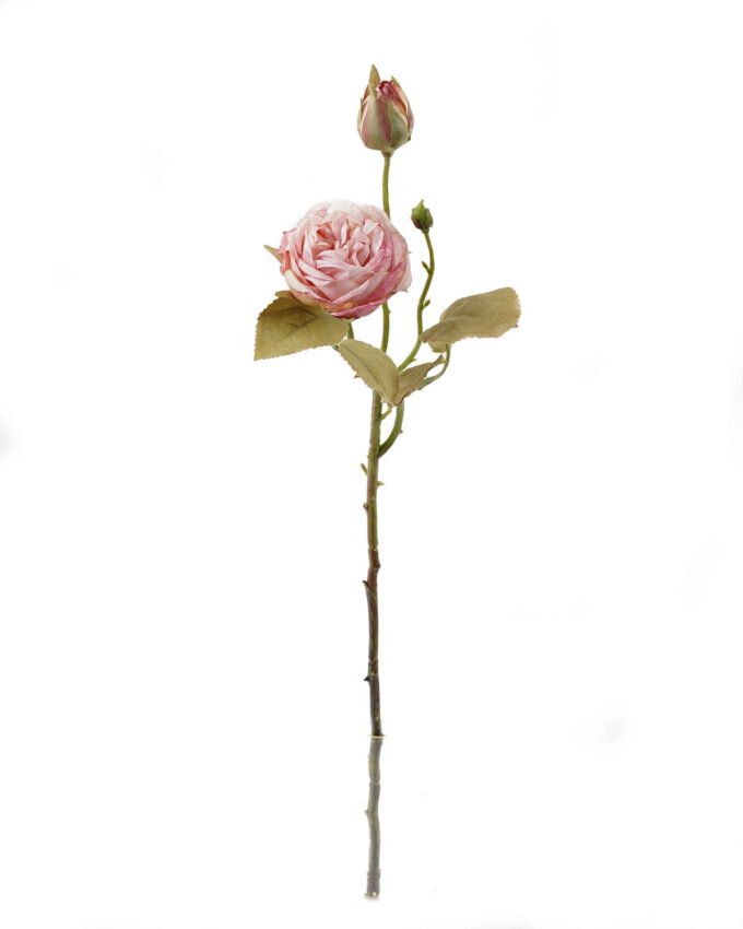 Artificial Flower 12*12*54cm Rose *2 single stem GS-48723040 2024Jan YeahFlower is one of Chinese leading OEM manufacturers and exporters , supplying the silk flowers, wholesale artificial trees