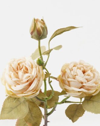 Artificial Flower 19*19*54cm Rose *3 single stem GS-48723041-W2 2024Jan YeahFlower is one of Chinese leading OEM manufacturers and exporters , supplying the silk flowers, wholesale artificial trees Artificial Flower 19*19*54cm Rose *3 single stem GS-48723041-W2 2024Jan YeahFlower is one of Chinese leading OEM manufacturers and exporters , supplying the silk flowers, wholesale artificial trees