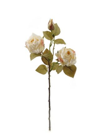 Artificial Plant 80*80*58cm Fern leaf in PP pot GS-48123014CONTI 2024Jan YeahFlower is one of Chinese leading OEM manufacturers and exporters , supplying the silk flowers, wholesale artificial trees