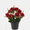 Artificial Flower Rose in PP pot GS-03323145-R1 Artificial Flower 18*18*25cm Rose in PP pot GS-03323145-R1 2024Jan YeahFlower is one of Chinese leading OEM manufacturers and exporters , supplying the silk flowers, wholesale artificial trees