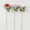 Artificial Flower 13*13*51cm Rose single stem GS-16823101KIK 2024Jan YeahFlower is one of Chinese leading OEM manufacturers and exporters , supplying the silk flowers, wholesale artificial trees