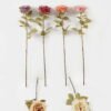 Artificial Flower Rose single stem GS-48723037_4 Artificial Flower 15*15*60cm Rose single stem GS-48723037 2024Jan YeahFlower is one of Chinese leading OEM manufacturers and exporters , supplying the silk flowers, wholesale artificial trees