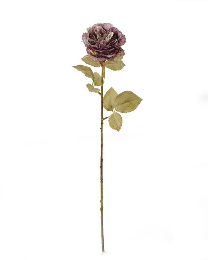 Artificial Flower Rose single stem GS-48723037_9 Artificial Flower 15*15*60cm Rose single stem GS-48723037 2024Jan YeahFlower is one of Chinese leading OEM manufacturers and exporters , supplying the silk flowers, wholesale artificial trees