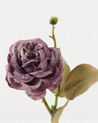 Artificial Flower 12*12*42cm Rose single stem GS-48723039-Z1 2024Jan YeahFlower is one of Chinese leading OEM manufacturers and exporters , supplying the silk flowers, wholesale artificial trees Artificial Flower 12*12*42cm Rose single stem GS-48723039-Z1 2024Jan YeahFlower is one of Chinese leading OEM manufacturers and exporters , supplying the silk flowers, wholesale artificial trees