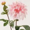 Artificial Flower 15*73CM SINGLE DAHLIA SPRAY*2 GS-128J18002-P3 2024Feb YeahFlower is one of Chinese leading OEM manufacturers and exporters , supplying the silk flowers, wholesale artificial trees