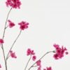 Artificial Flower 48*48*126cm Sakura single stem GS-53622018-R5 2024Feb YeahFlower is one of Chinese leading OEM manufacturers and exporters , supplying the silk flowers, wholesale artificial trees