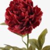 Artificial Flower Singel peony GS-06021001A-R1_1 Artificial Flower 15*68CM Singel peony GS-06021001A-R1 2024Jan YeahFlower is one of Chinese leading OEM manufacturers and exporters , supplying the silk flowers, wholesale artificial trees