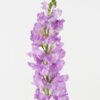 Artificial Flower 12*12*95cm Snapdragons single stem GS-53623061-Z1 2024Feb YeahFlower is one of Chinese leading OEM manufacturers and exporters , supplying the silk flowers, wholesale artificial trees