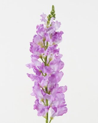 Artificial Flower 12*12*95cm Snapdragons single stem GS-53623061-Z1 2024Feb YeahFlower is one of Chinese leading OEM manufacturers and exporters , supplying the silk flowers, wholesale artificial trees